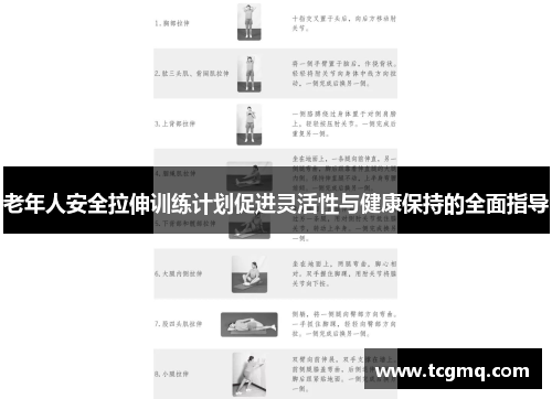老年人安全拉伸训练计划促进灵活性与健康保持的全面指导